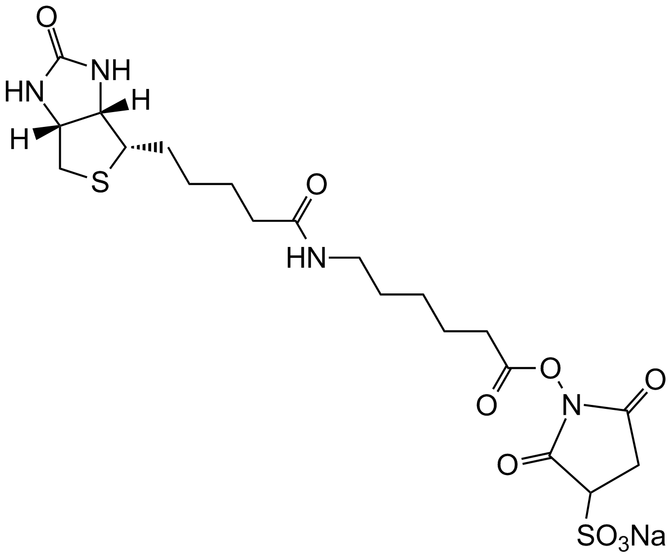 Apexbio Sulfo Nhs Lc Biotin Amine Reactive Biotinylation Agent Cas 22 0