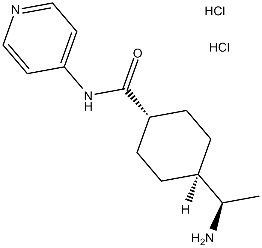 Y-27632 dihydrochloride