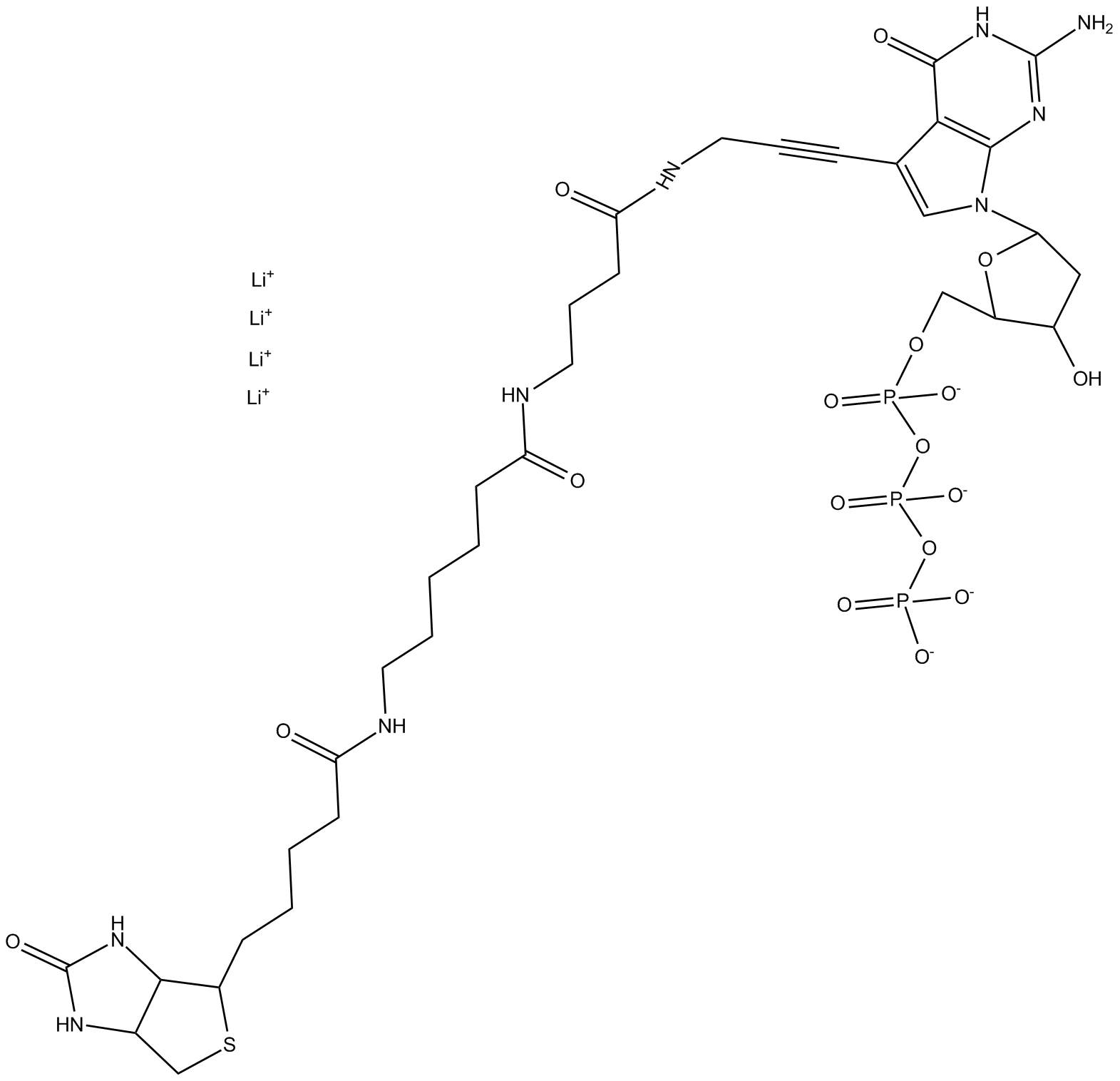 Biotin-16-dGTP