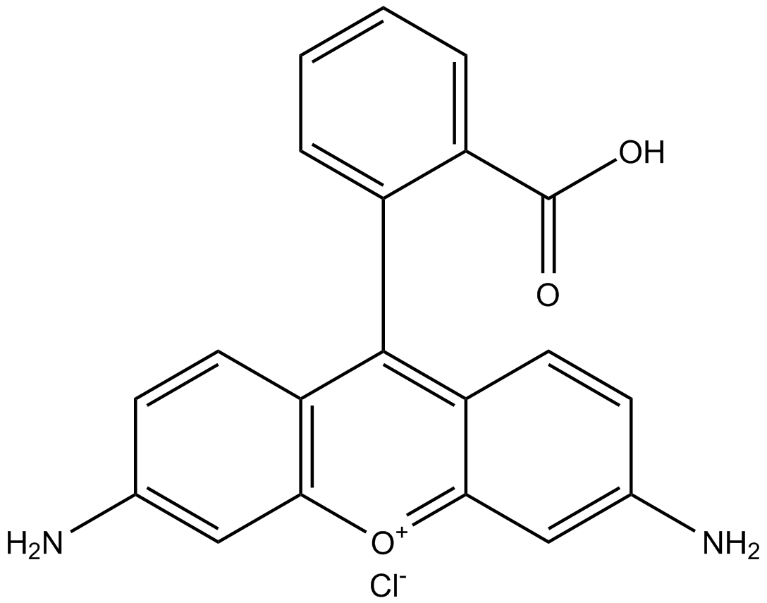 Rhodamine 110 (chloride)