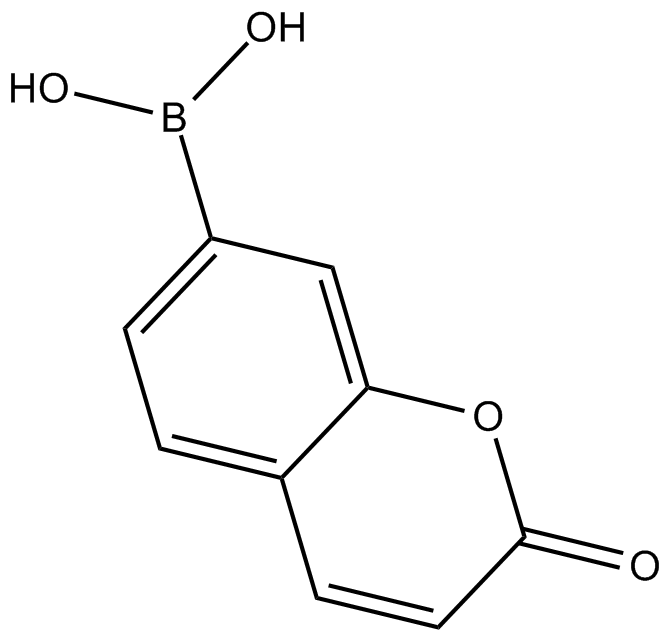 Coumarin Boronic Acid