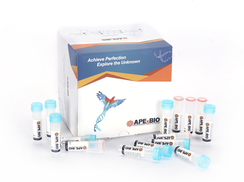 HyperScribe™ All in One mRNA Synthesis Kit II Plus 2 (EZ Cap Reagent AG (3' OMe), 5-moUTP, T7, poly(A))
