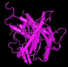 VEGFR-2, human recombinant protein