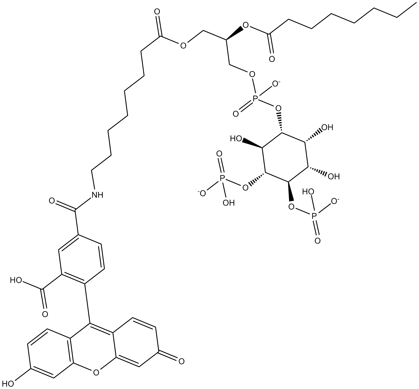 PtdIns-(4,5)-P2-fluorescein (ammonium salt)