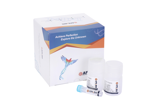 ECL Chemiluminescent Substrate Detection Kit