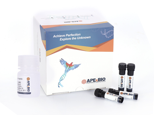 Annexin V-Biotin Apoptosis Kit