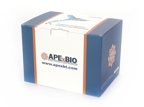 TUNEL Apoptosis Detection Kit (DAB)